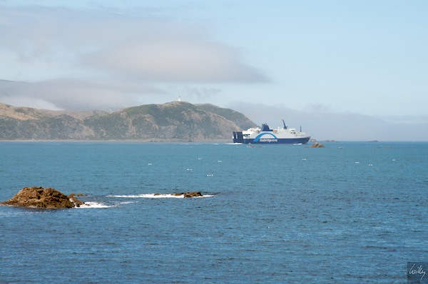 New Zealand 09 10  143